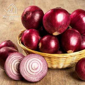 [웰굿] 국내산 속이 꽉 찬 적양파 4kg(특,개당200g내외)