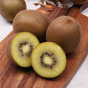농협과일 국내산 골드키위 2kg 17과내