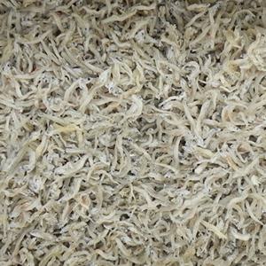 [작심밀도]정성애찬 세세멸치 500g