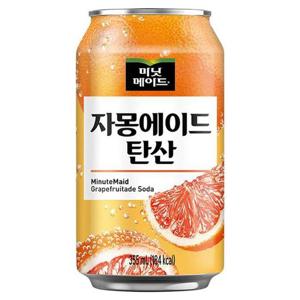 [해태] 미닛메이드 자몽에이드 탄산 355ml x 48캔