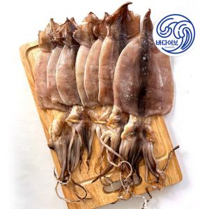 국산 반건조오징어 1kg / 피데기오징어 파지오징어