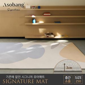 [아소방] 시그니처 유아 놀이방매트 클로드 250 (250x150x2cm)