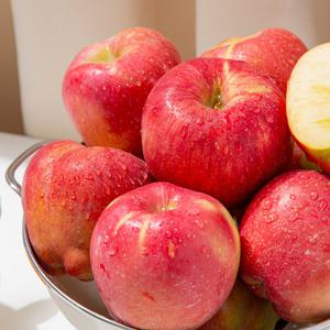 [더조은] 경북 홍로 못난이 꿀사과 5kg 23-28과