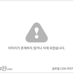 더스트체크패치남방 503U003S 빅사이즈 여성의류