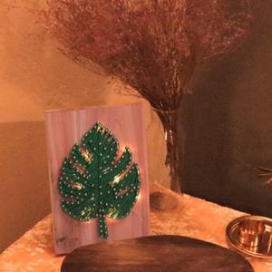 아트박스/72페이지 LED 몬스테라 스트링아트 만들기 패키지 DIY