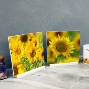 아트박스/꾸밈 cd168-스탠드액자2P_활짝핀해바라기07