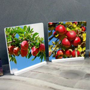 아트박스/꾸밈 pk319-스탠드액자2P_풍요로운사과나무5