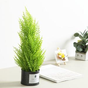 율마 조화 화분 캔 set 38cm 인테리어 식물 테이블 장식 소품 꾸미기