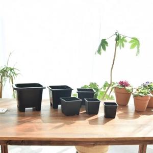 ksr PP플라스틱 사각 모종 포트 화분 PS4 15x13cm