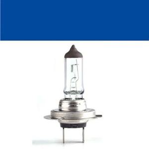자동차 전구 순정형 미등 전조등 라이트 램프 자동차라이트전구 안개등 자동차용품 자동차전조등