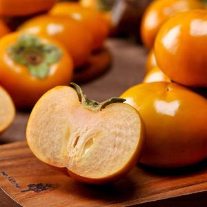 아삭한 경남 진영 햇 단감 10kg 특대과(45과내외)