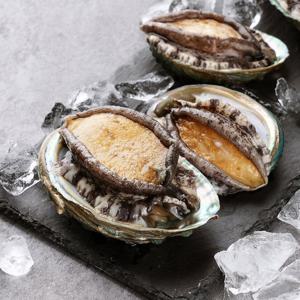 선물세트/완도전복 명품완도전복 미소1호 750g(75g-10미)