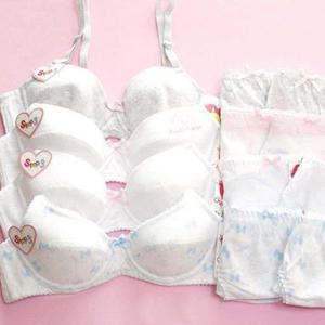 주니어속옷세트3단계2차브라팬티12종