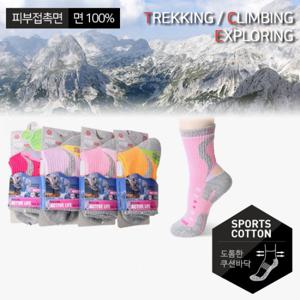 라임트리 숙녀 ATB 곡선라인 파일 중목 3족세트(LP22-01)