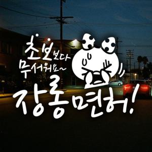 장롱면허 쁘띠 / 초보운전 반사스티커 자동차스티커