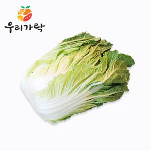 [우리가락]배추 1포기
