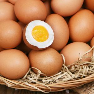 [인정란] 부드러움을 인정한 촉촉한 반숙계란 30구 x 2판