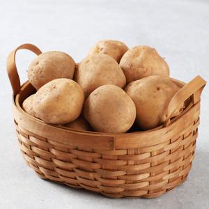 [농협청과33번] 감자 20kg (특)-선물고급형/요리용