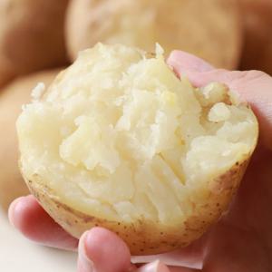 [농협청과33번] 감자 20kg(대)가정실속형/쩌먹기좋은크기