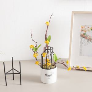 산수유 조화 화분 철재 set 40cm 인테리어 꽃 테이블 장식 소품 꾸미기