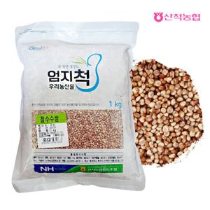[산척농협] 엄지척잡곡 찰수수 1kg