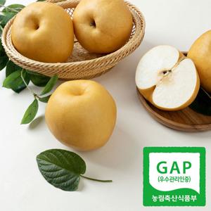 [달찐과일] 25년 햇 나주배 특품 3kg (4-8과)
