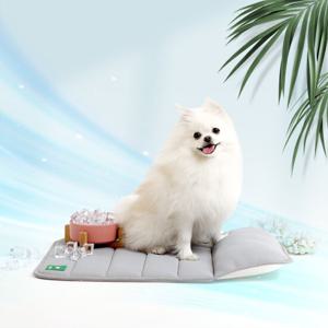 페스텝 강아지쿨매트 바람솔솔 에어매쉬 강아지방석 (S) 애견
