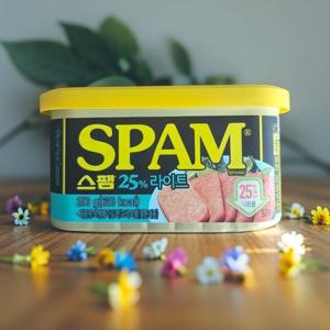 [CJ제일제당] 스팸 마일드 25% 라이트 200g 10개