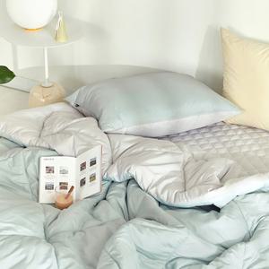 [파르페by알레르망] 클린 알러지케어 먼지없는 다운필 차렵이불패드세트 K