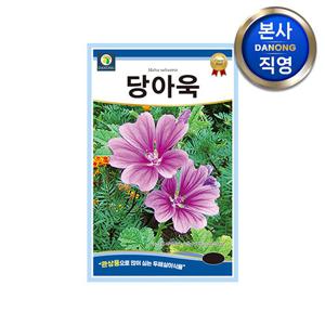 당아욱 씨앗 0.5g . 두해살이 식물 금규 야생화 예쁜 꽃 정원 관상용 씨 종자.