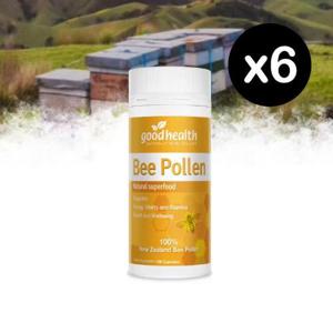 굿헬스 뉴질랜드 비폴렌 화분 100정 X6개