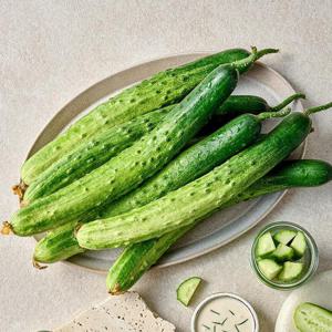 아삭아삭 백다다기 오이 (상) 2kg내외