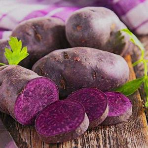 갤러리아_해남 자색고구마 10kg 중급