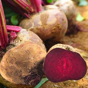 포미식탁 제주직송 레드 비트 3kg 크기 혼합과