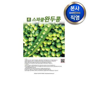 스파클 완두콩 씨앗 500g . 채소 왜성종 재배 다수확 품종 콩키우기 씨 종자.