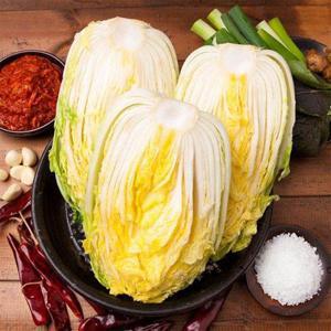 갤러리아_속이 꽉 찬 해남 절임배추 20kg / 11월 22일(토) 도착