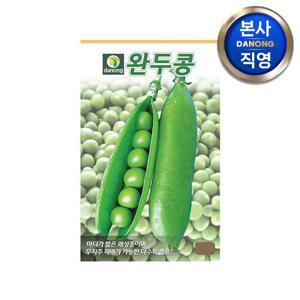 완두콩 씨앗 50g . 채소 왜성종 재배 초록색 콩 키우기 심기 씨 종자.