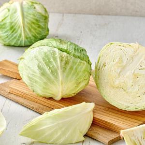 제주 양배추 5kg내외
