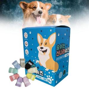 [BZJJ1IN1_4B]강아지신발 신나라 일회용 슈즈 혼합형 중형