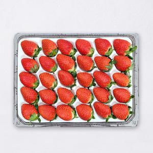 [자연맛남] 새콤달콤 설향딸기 750g 특 (20-30구)