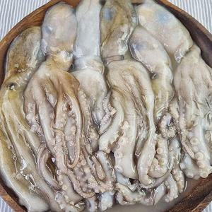 급냉 활낙지 6미