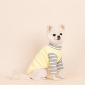 배색 골지st 강아지옷 강아지티셔츠 4color