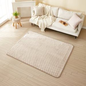 휴라이즈 더블) 전자파차단 EMF 극세사 탄소매트 전기요/전기장판/전기매트/온열