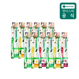 [덴티스테]센서티브칫솔 12개