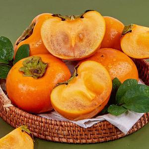 [맛딜]아삭아삭 진영 단감 가정용(흠과) 10kg 대 (40-54과 내외)