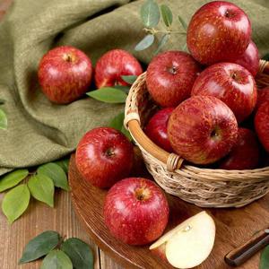 [열매나무] 당도선별 못난이 부사 사과 3kg+3kg (박스당 9-12과) 중과 가정용