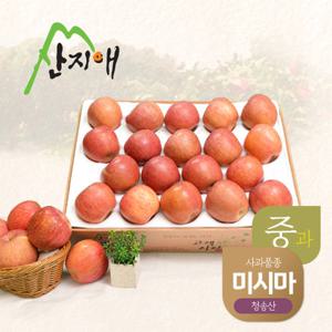 산지애 알뜰 못난이사과(중과) 4kg 1box / 청송산 미시마, 당도선별