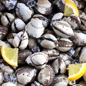 산지직송 당일조업 제철 벌교 꼬막 2kg 상