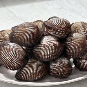 당일조업 남해안 피꼬막(피조개) 2kg 혼합 30-40미 내외