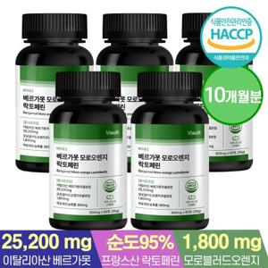 [바이솔트]이탈리아 베르가못 폴리페놀 모로오렌지 락토페린 60정x5병 (10개월분)